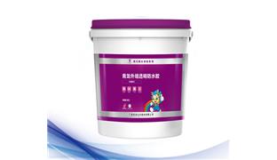 青龍外墻透明防水膠